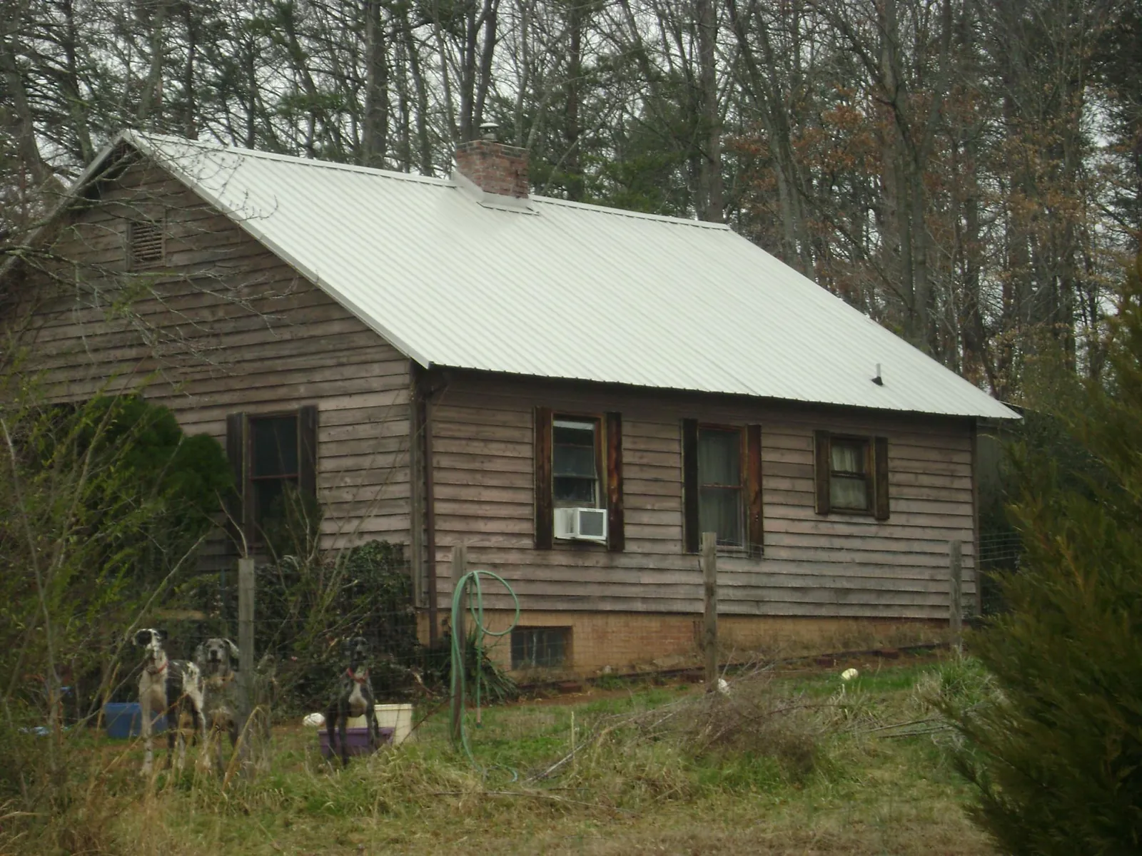 White metal roof on an old wood sided farmhouse, from a Asphalt Shingle Roof Repair job in Center Hill